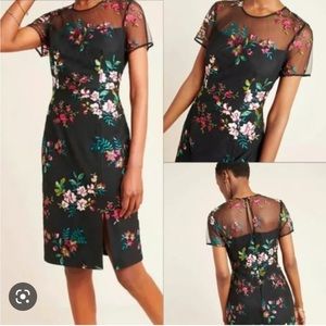 Anthropologie dress 16